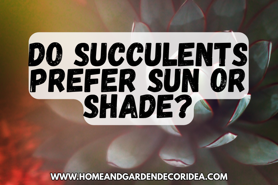 Do Succulents Prefer Sun Or Shade?
