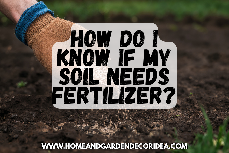 How Do I Know If My Soil Needs Fertilizer?