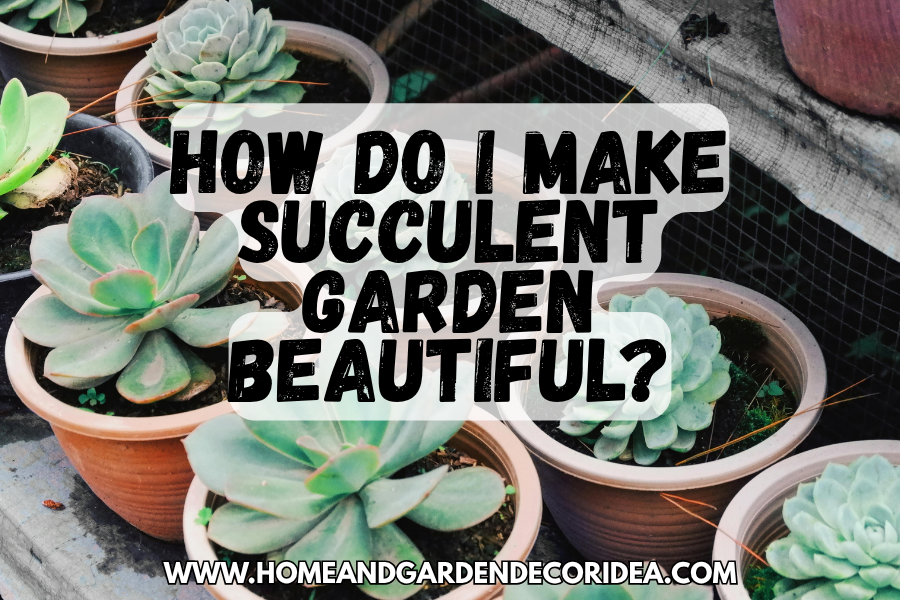 How Do I Make Succulent Garden Beautiful?