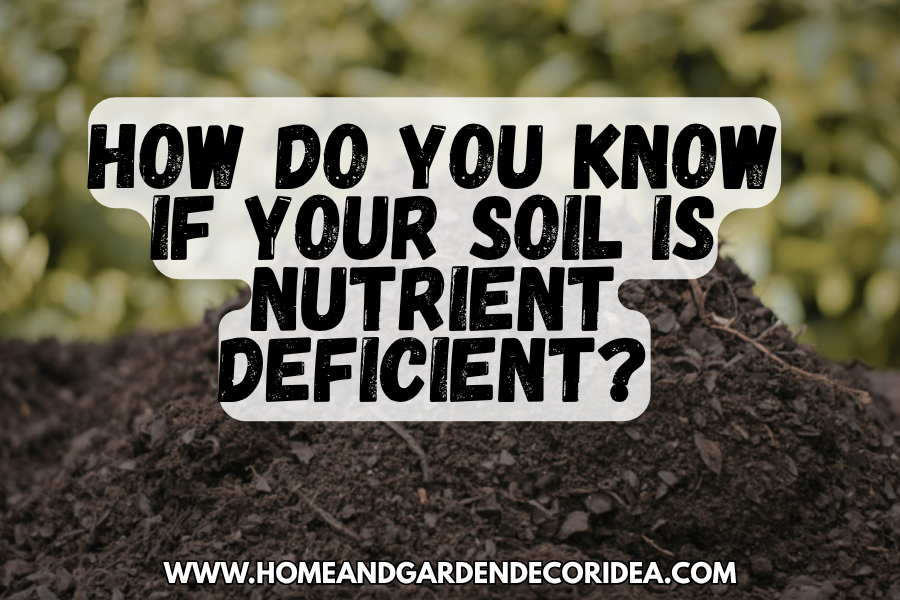 How Do You Know If Your Soil Is Nutrient Deficient?