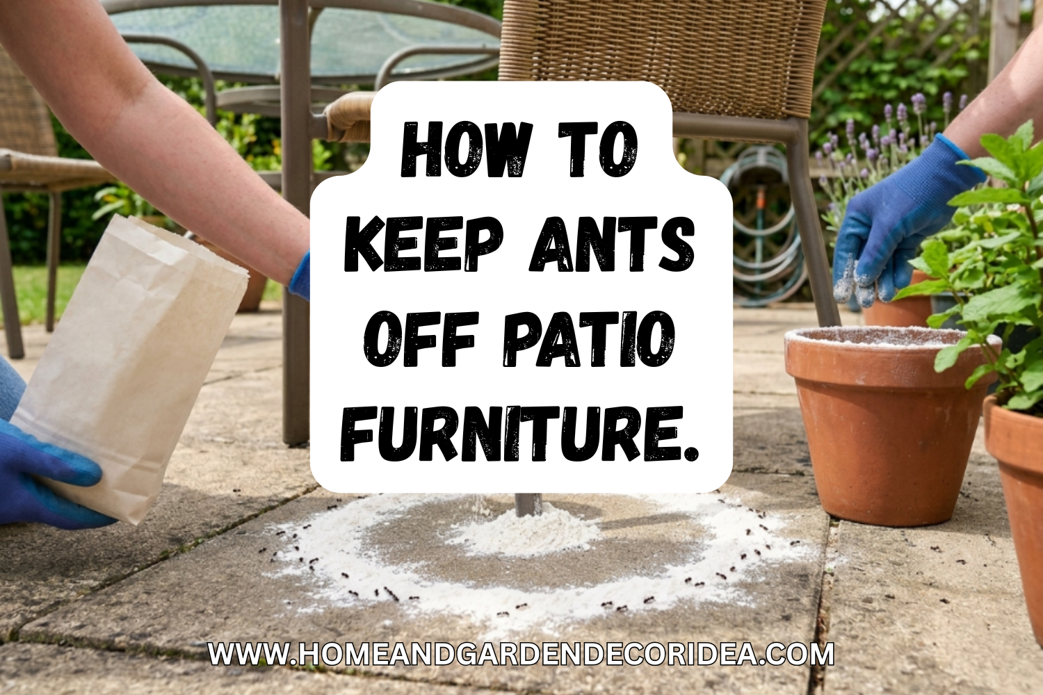 How To Keep Ants Off Patio Furniture.