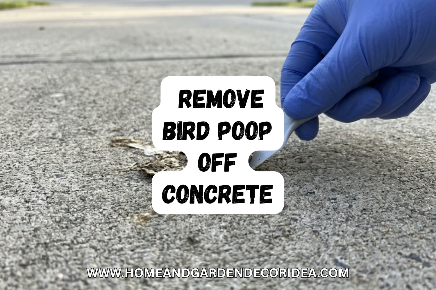 How To Remove Bird Poop Off Concrete