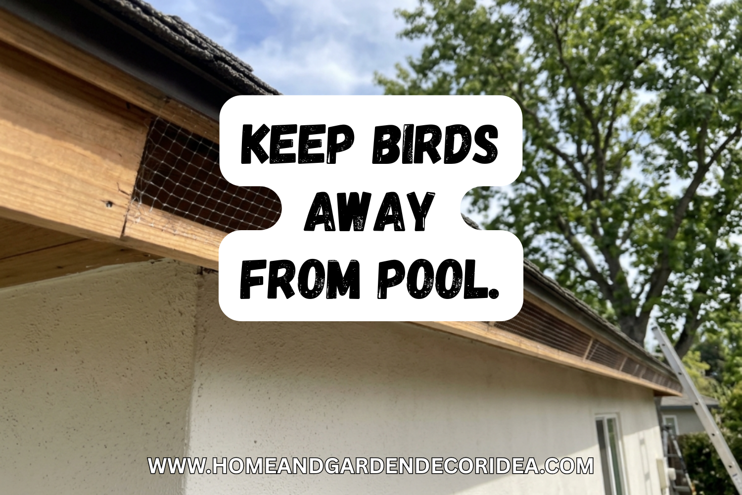 How To Keep Birds From Nesting Under Your Roof.