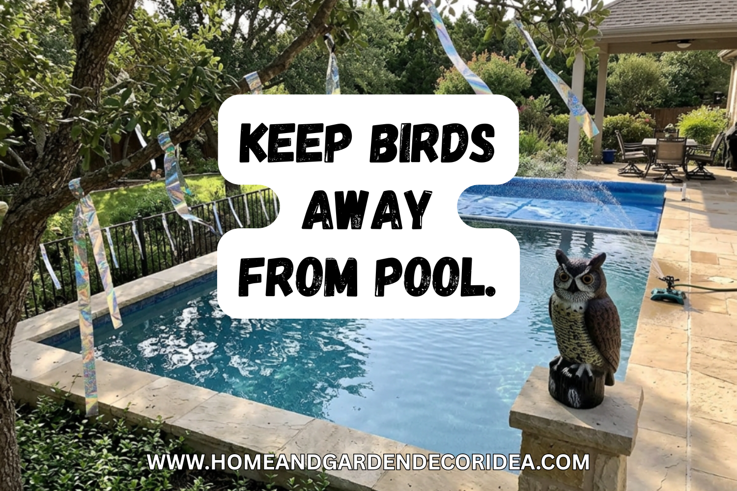 How To Keep Birds Away From Pool.