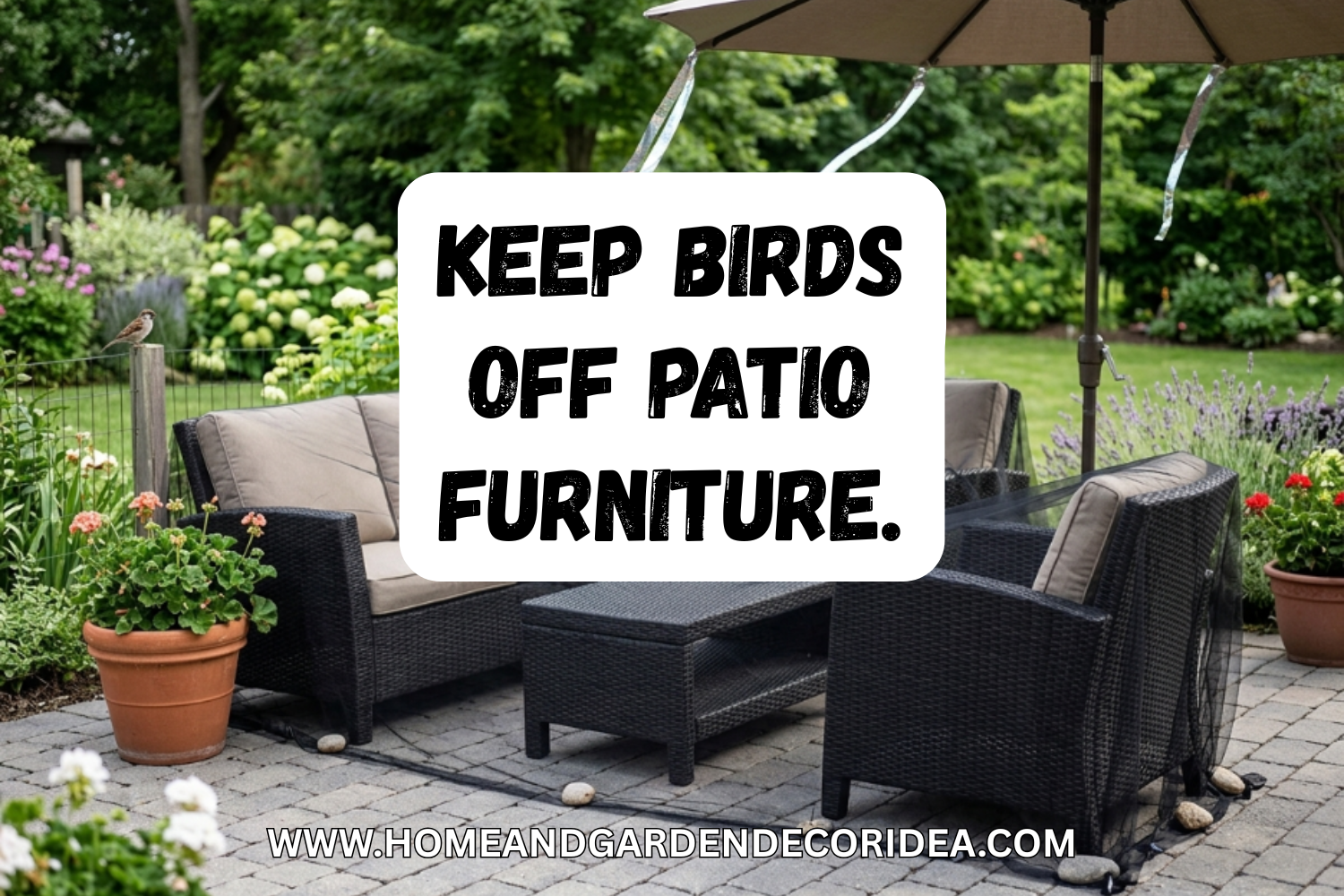 How To Keep Birds Off Patio Furniture.
