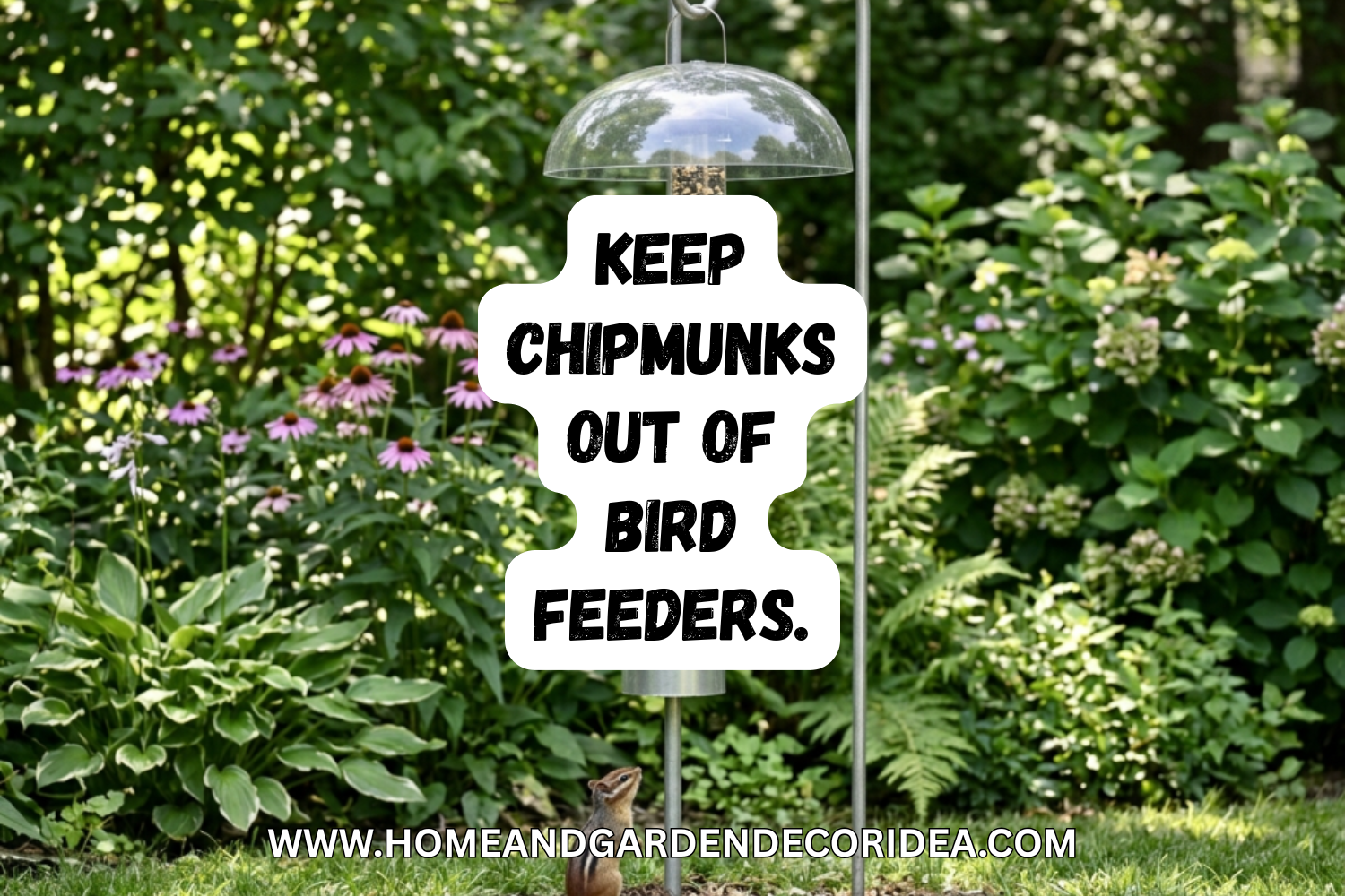 How To Keep Chipmunks Out Of Bird Feeders.