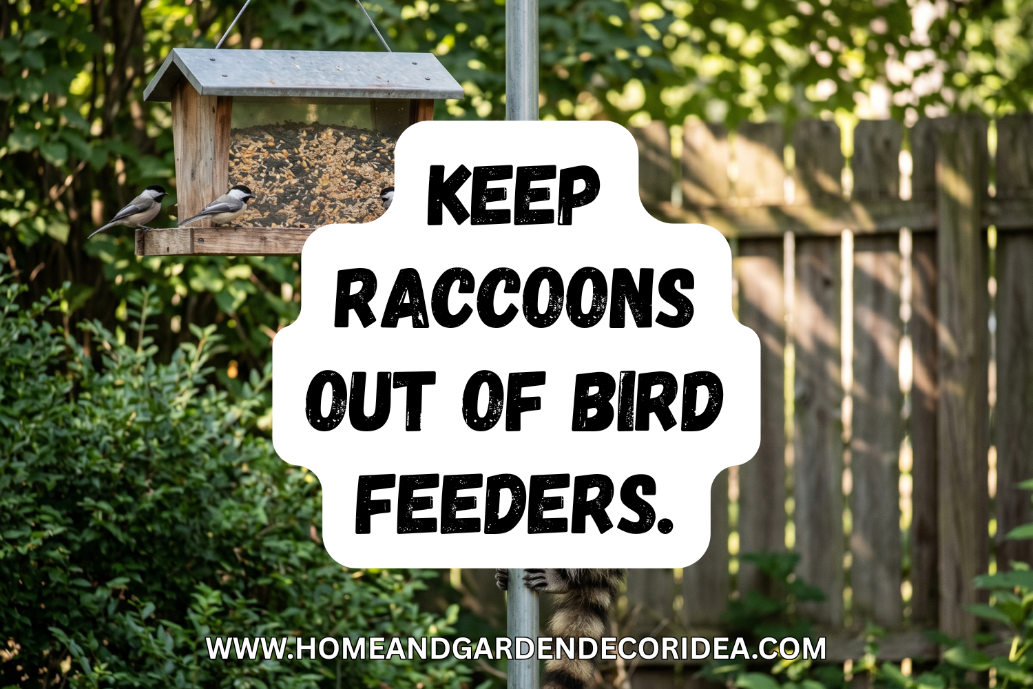 How To Keep Raccoons Out Of Bird Feeders.
