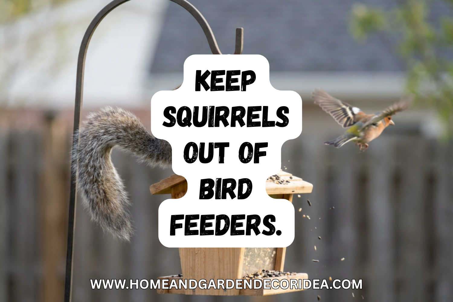 How To Keep Squirrels Out Of Bird Feeders.