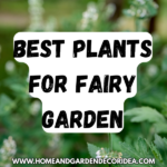 The Best Plants For Fairy Garden