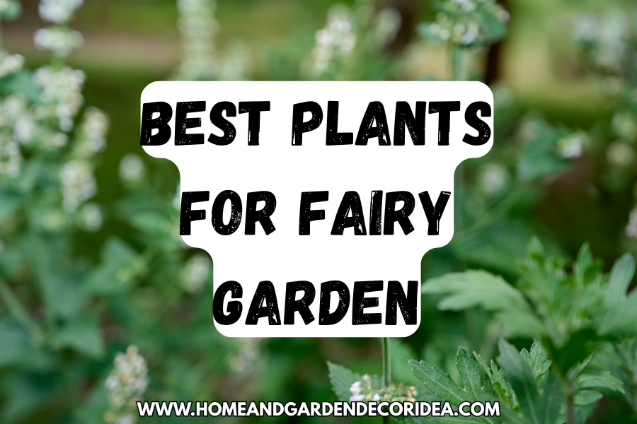 The Best Plants For Fairy Garden