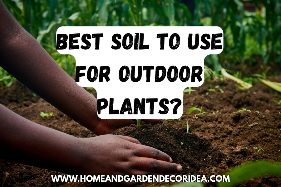 What Is The Best Soil To Use For Outdoor Plants?