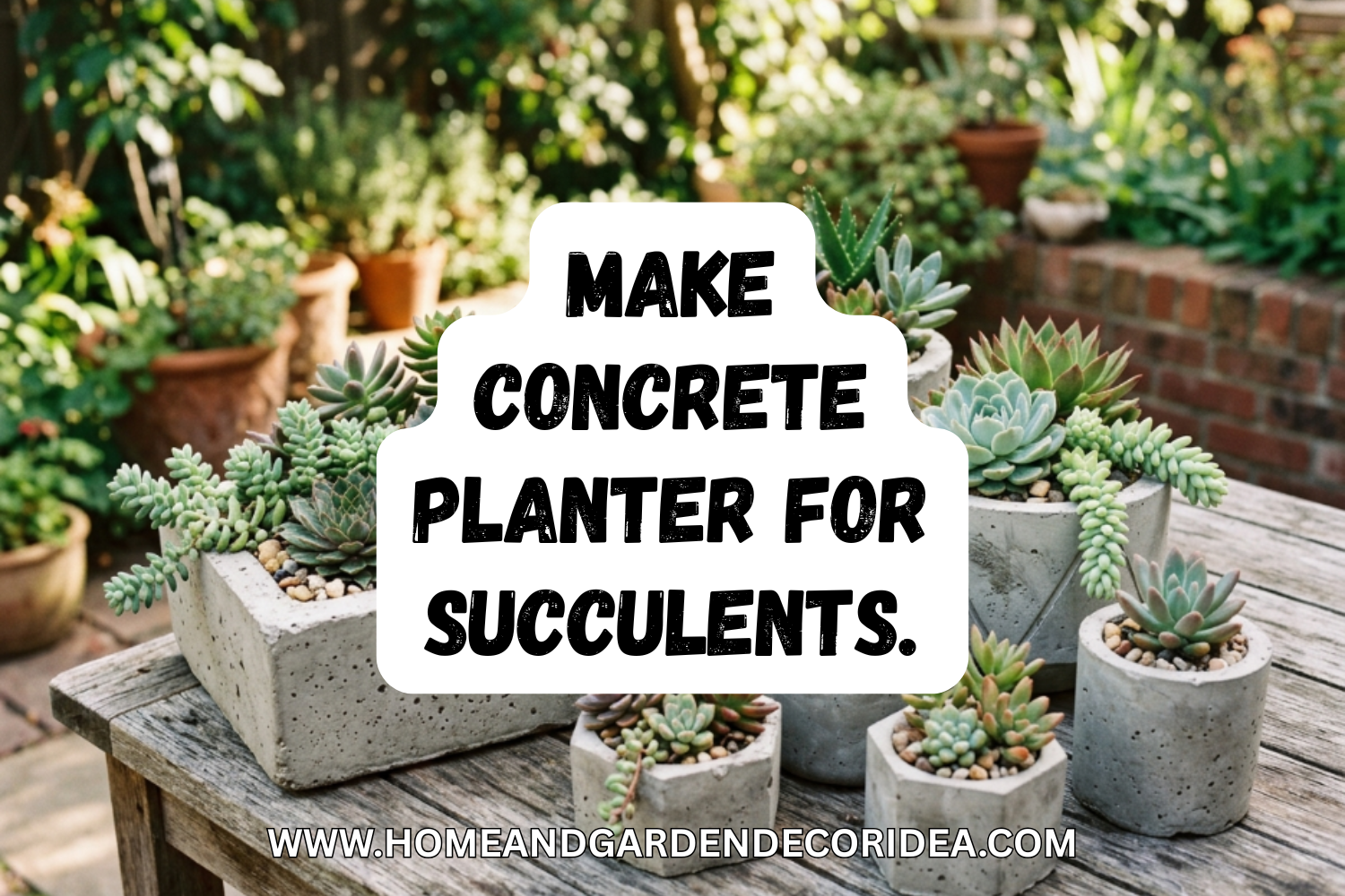 How To Make Concrete Planter For Succulents.