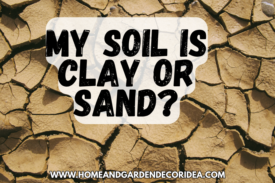 How Do I Know If My Soil Is Clay Or Sand?