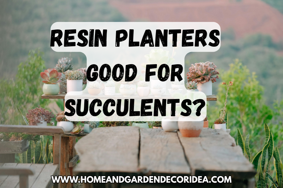 Are Resin Planters Good For Succulents?