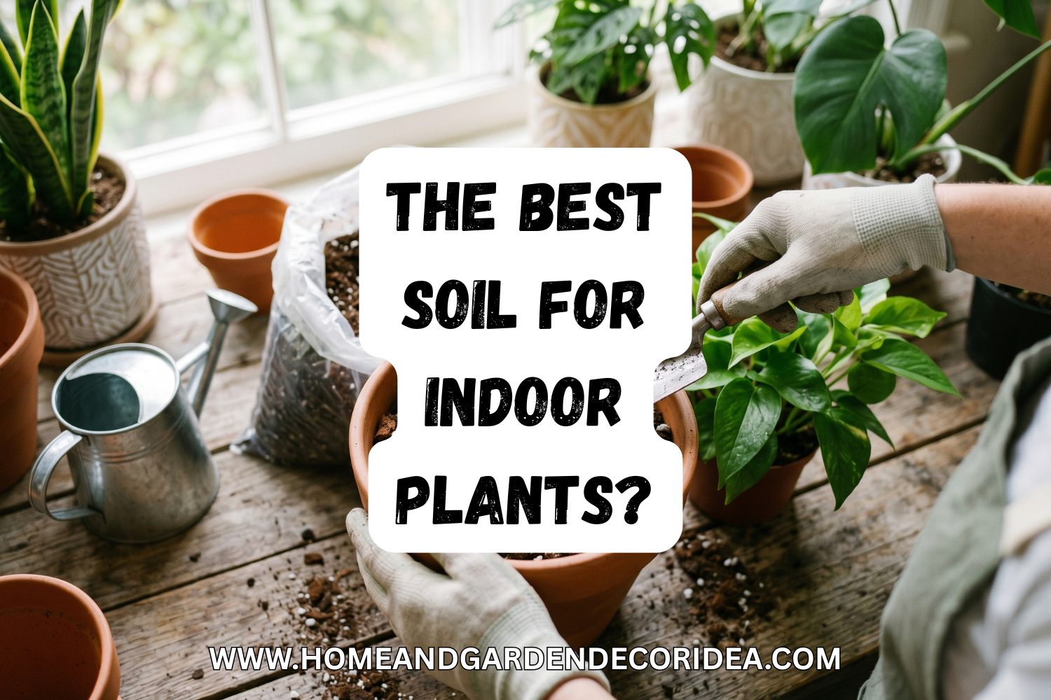 What Is The Best Soil For Indoor Plants?