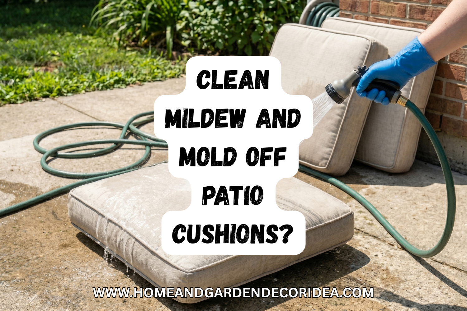 How To Clean Mildew And Mold Off Patio Cushions?