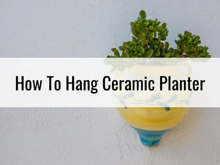 How To Make Your Own Ceramic Hanging Planter.