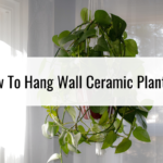 How To Hang Wall Ceramic Planters
