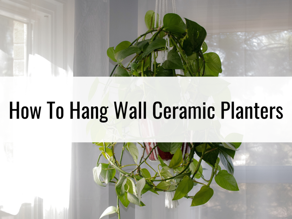 How To Hang Wall Ceramic Planters