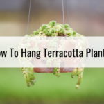 How To Hang Terracotta Planters