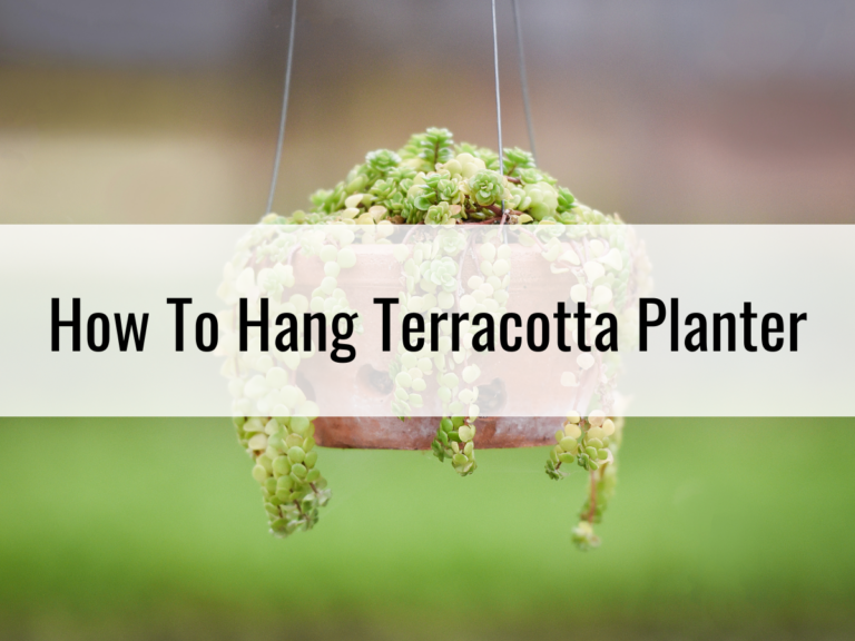 How To Hang Terracotta Planters