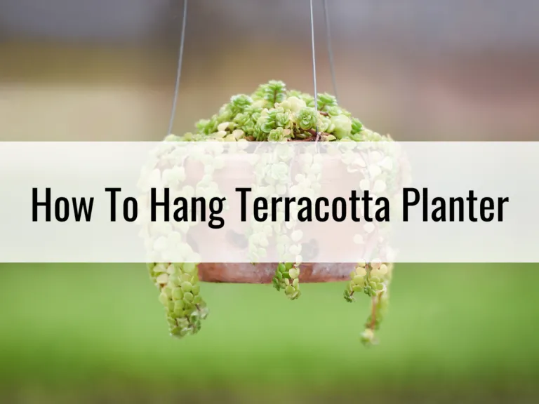 How To Hang Terracotta Planters