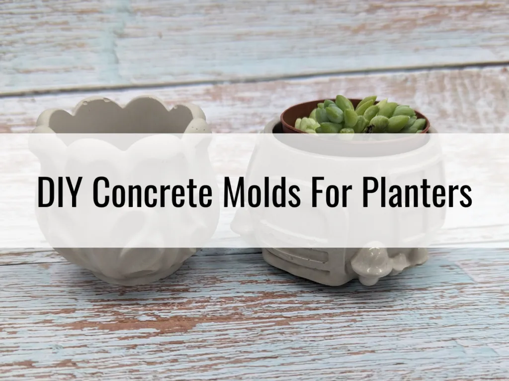 DIY Concrete Molds For Planter: A Beginners Guide.