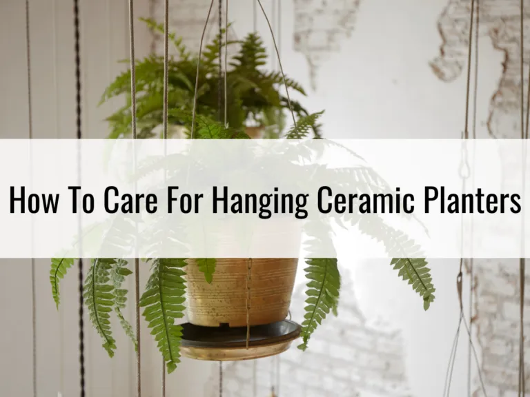 Caring Tips For Your Ceramic Hanging Planter?